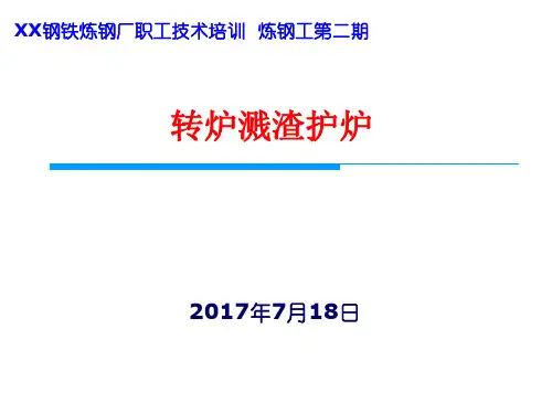 转炉溅渣护炉技术
