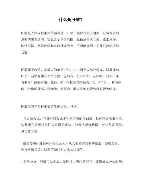 什么是肝脏？