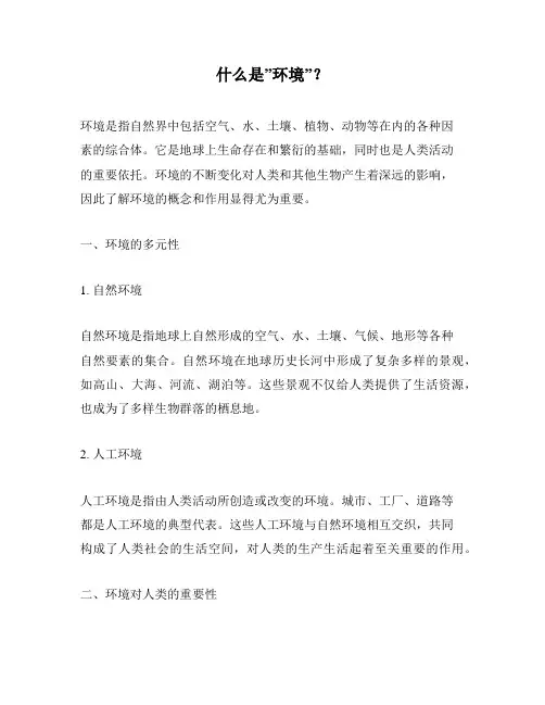 什么是”环境”?