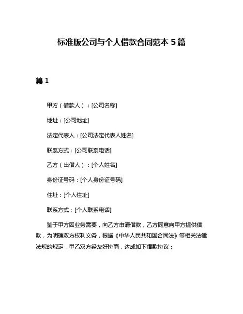 标准版公司与个人借款合同范本5篇