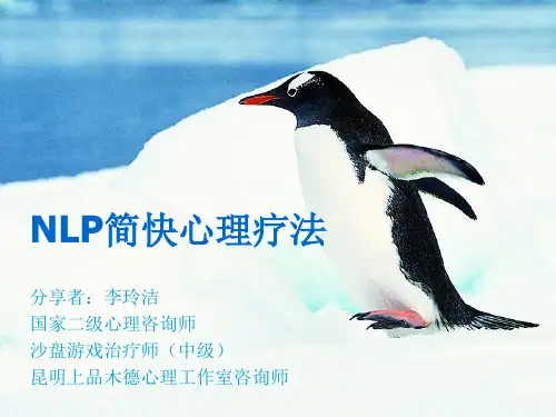 NLP简快心理疗法(第一课)2