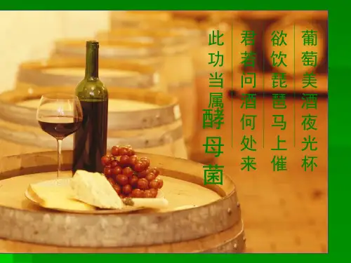 专题1课题1果酒和果醋的制作