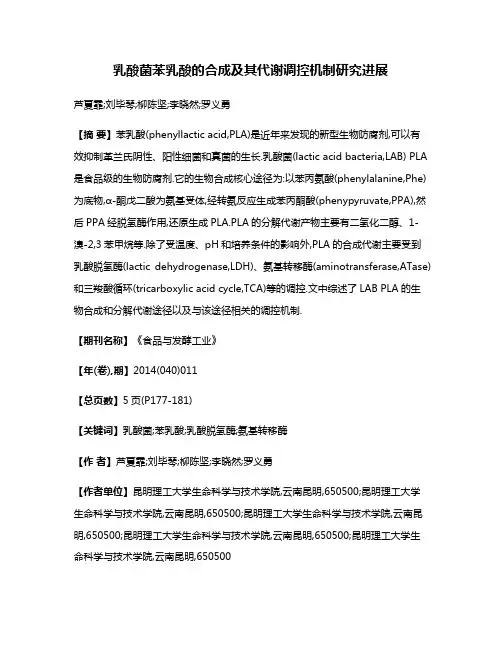 乳酸菌苯乳酸的合成及其代谢调控机制研究进展