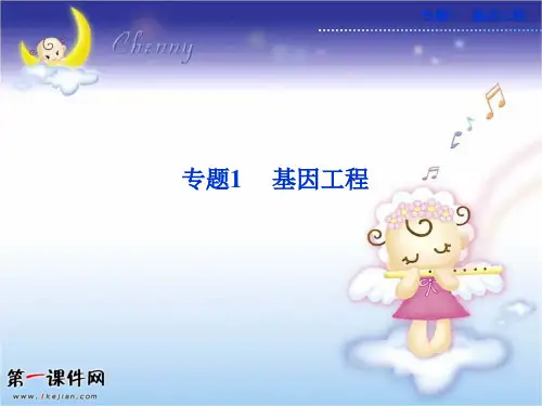 1.1DNA重组技术的基本工具-人教版选修三精品PPT教学课件