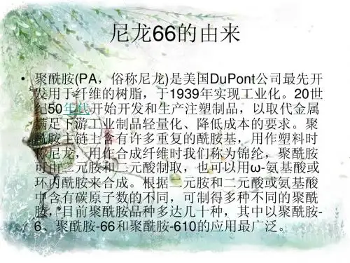 尼龙66的介绍