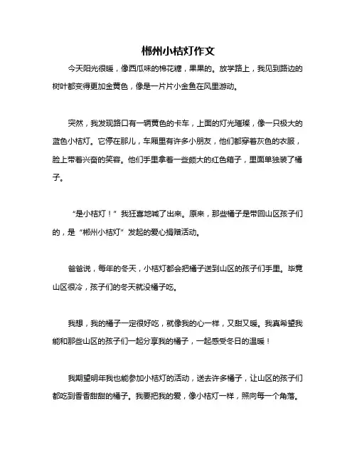 郴州小桔灯作文