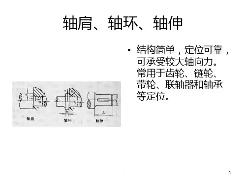 轴向定位PPT课件