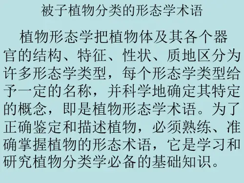 形态术语