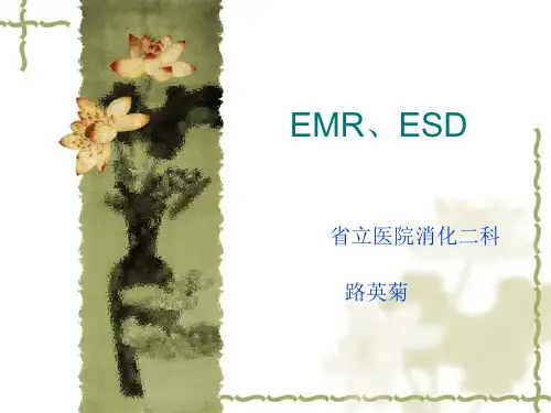 EMR、ESD