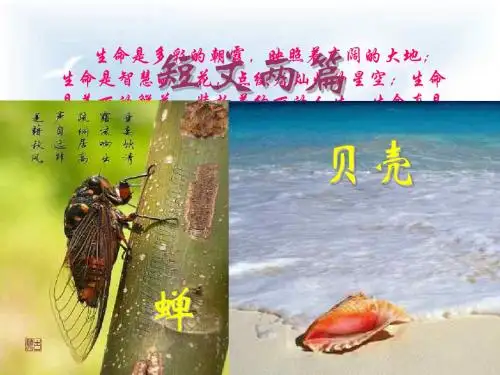 《短文两篇(蝉,贝壳)》(201909)