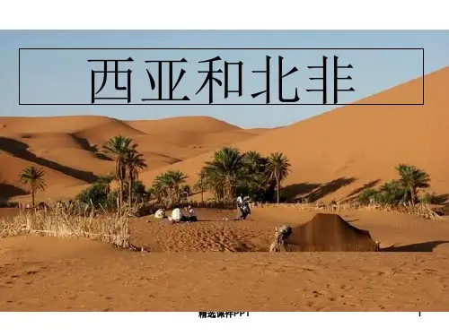 高中地理(西亚和北非)(1精)PPT课件