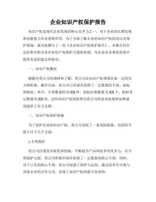 企业知识产权保护报告
