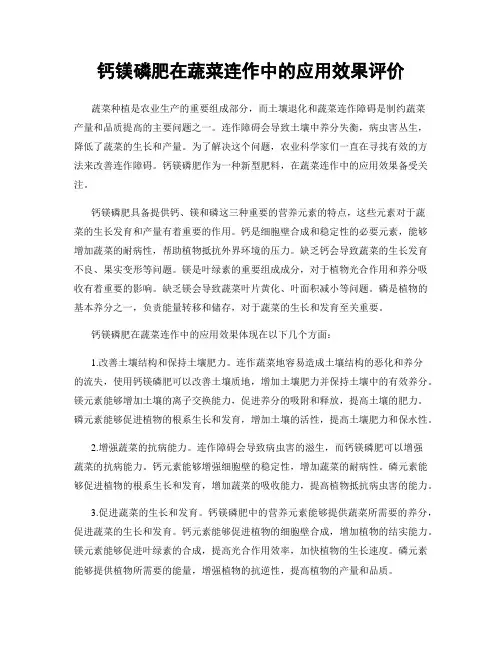 钙镁磷肥在蔬菜连作中的应用效果评价