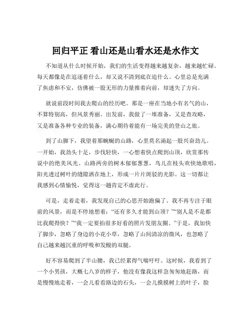 回归平正 看山还是山看水还是水作文