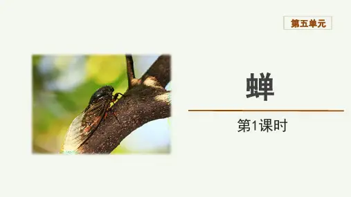 第21课《蝉》课件(共43张ppt)++2023-2024学年统编版语文八年级上册