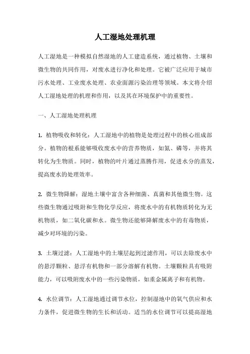 人工湿地处理机理
