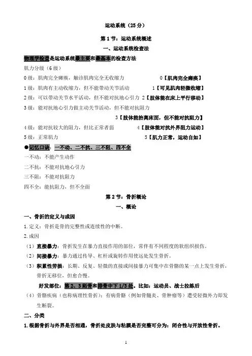 运动系统