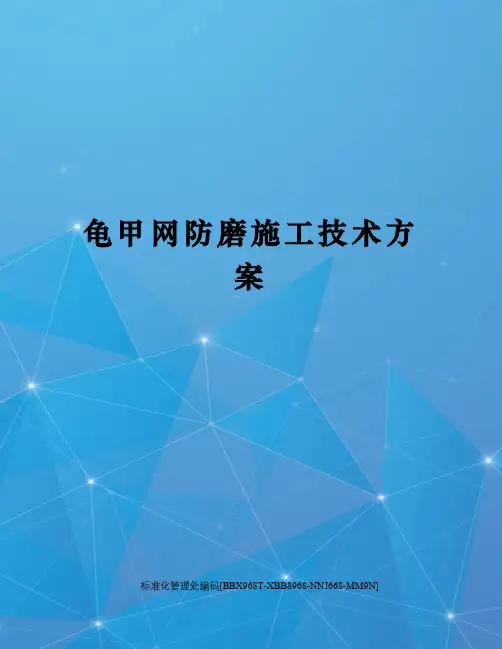 龟甲网防磨施工技术方案