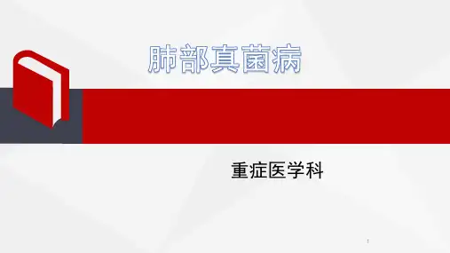 肺部真菌病ppt课件