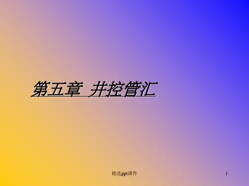 节流与压井管汇ppt课件