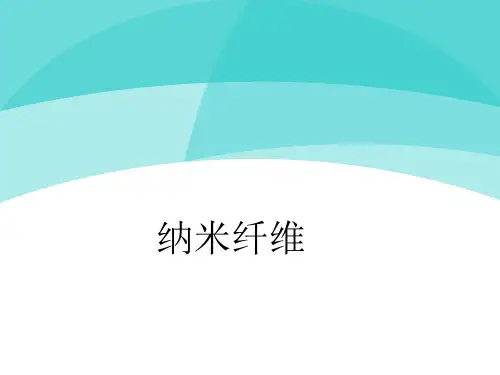 纳米纤维(PVC)ppt课件