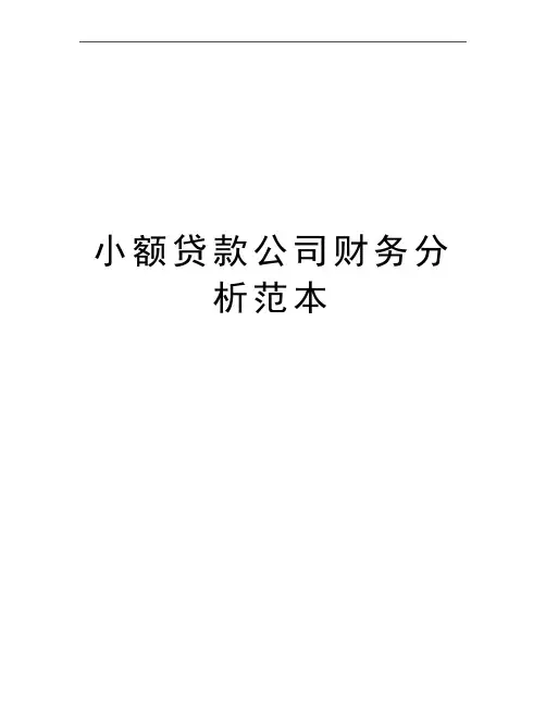 最新小额贷款公司财务分析范本