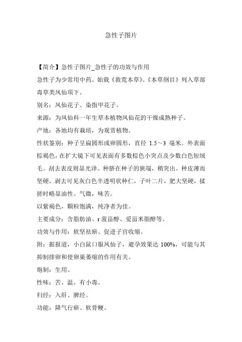 急性子图片