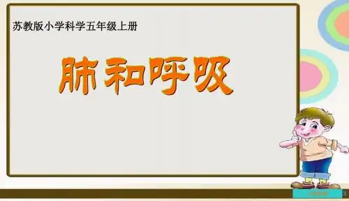 五年级上册科学肺和呼吸苏教版 (10)