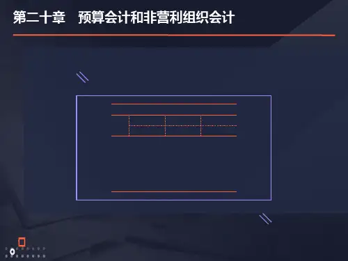 预算会计和非营利组织