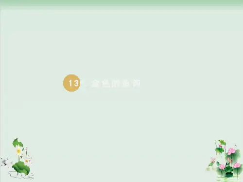 金色的鱼钩课件完美版1