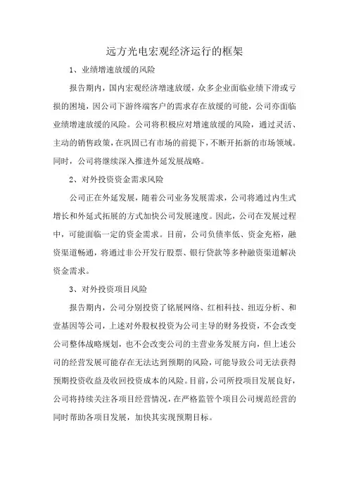 远方光电宏观经济运行的框架