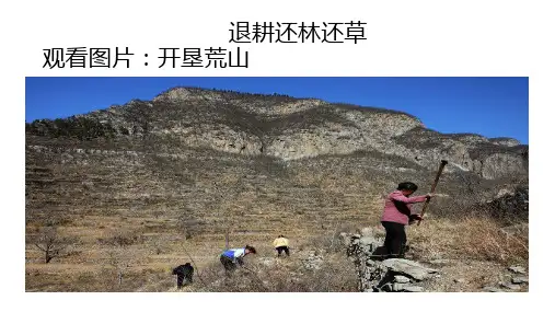 人教版七年级生物下册《科学·技术·社会 退耕还林还草》公开课课件_3
