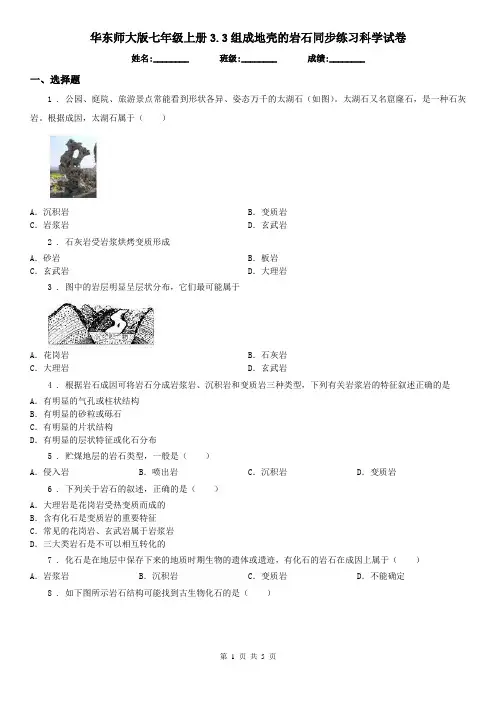 华东师大版七年级上册3.3组成地壳的岩石同步练习科学试卷