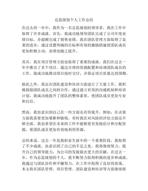 总监级别个人工作总结