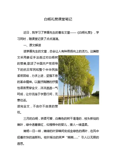 白杨礼赞课堂笔记