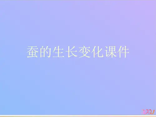 蚕的生长变化课件教材PPT
