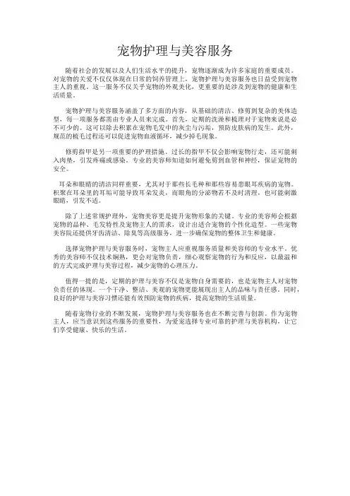 宠物护理与美容服务