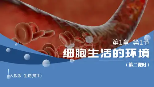 细胞生活的环境(第2课时)课件-高二生物人教版选择性必修1