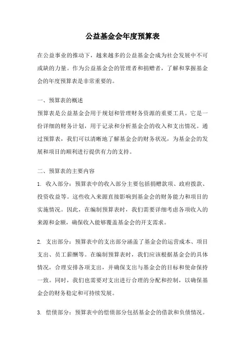 公益基金会年度预算表