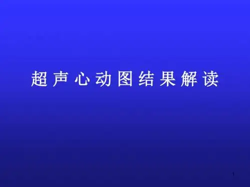 超声心动图结果ppt课件