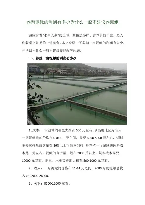 养殖泥鳅的利润有多少 为什么一般不建议养泥鳅