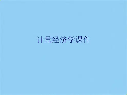 计量经济学(共11张PPT)
