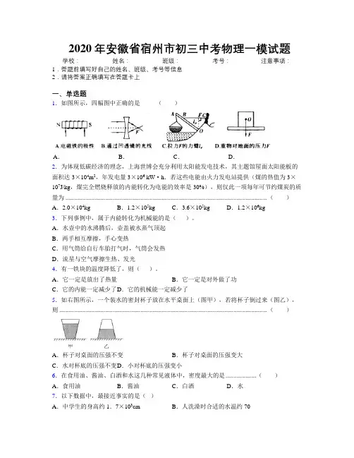 最新2020年安徽省宿州市初三中考物理一模试题及解析