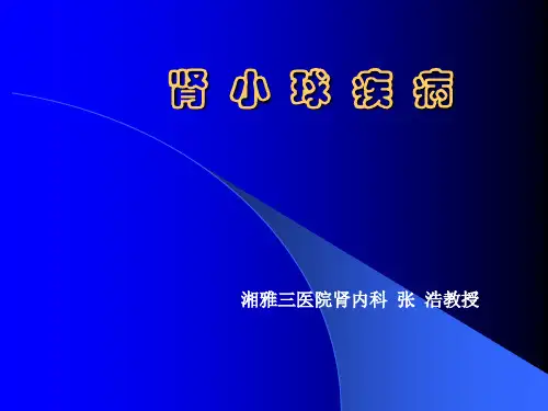 肾小球病概述