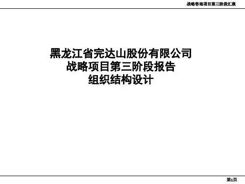 完达山战略项目第三阶段报告-组织结构设计