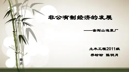 毛概ppt演讲