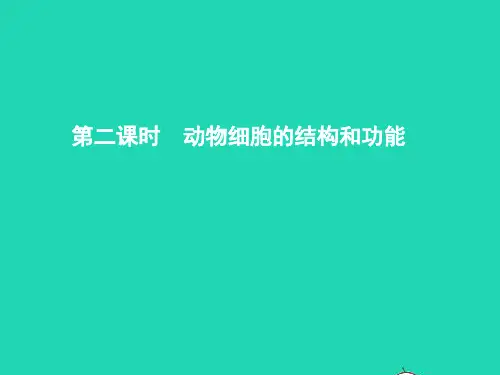 七年级生物上册 1.2.1 细胞的结构和功能(第2课时 动物细胞的结构和功能)课件 (新版)济南版