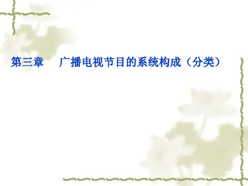 广播电视节目的系统构成分类