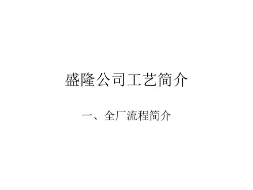 工艺流程