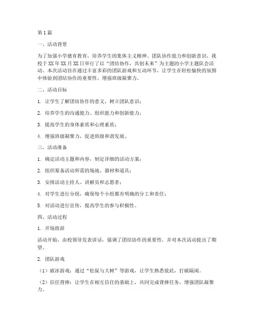 小学主题队会活动总结(3篇)